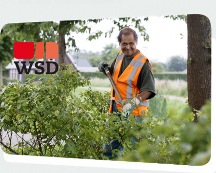 WSD